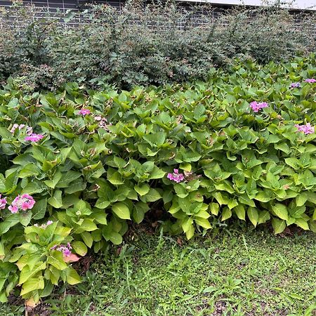 Appartamento Jardins De La Noue Villeneuve-la-Garenne Esterno foto
